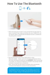 Ακουστικά Βαρηκοΐας Ψηφιακά Bluetooth PZ-3602BT